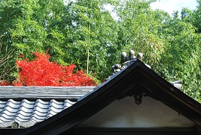 b0128589_1728228.jpg