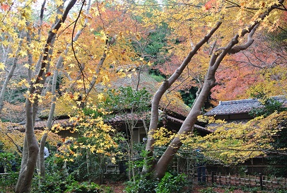 b0128589_1783338.jpg