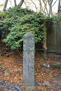 b0128589_1794568.jpg