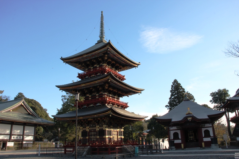 成田山公園の紅葉2012①_a0127090_20304953.jpg