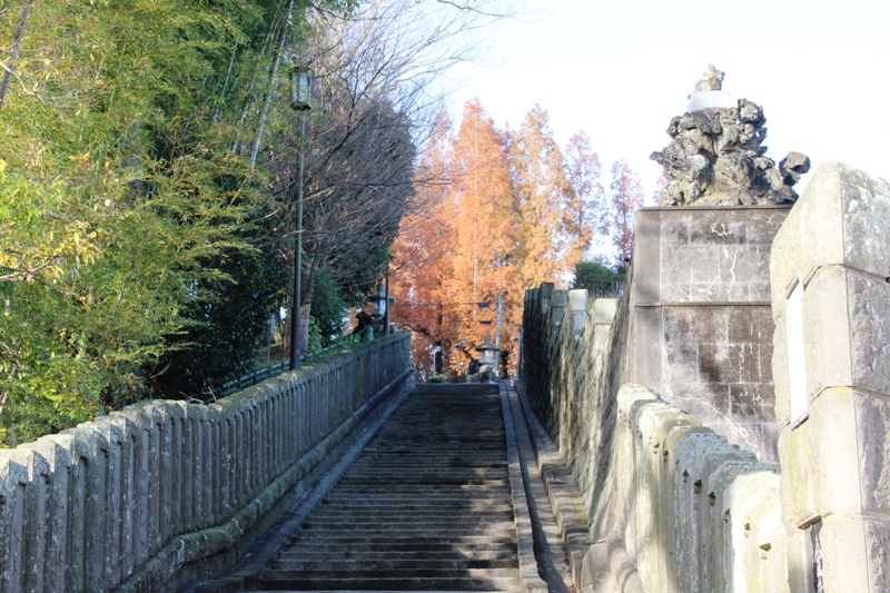 成田山公園の紅葉2012①_a0127090_20321641.jpg