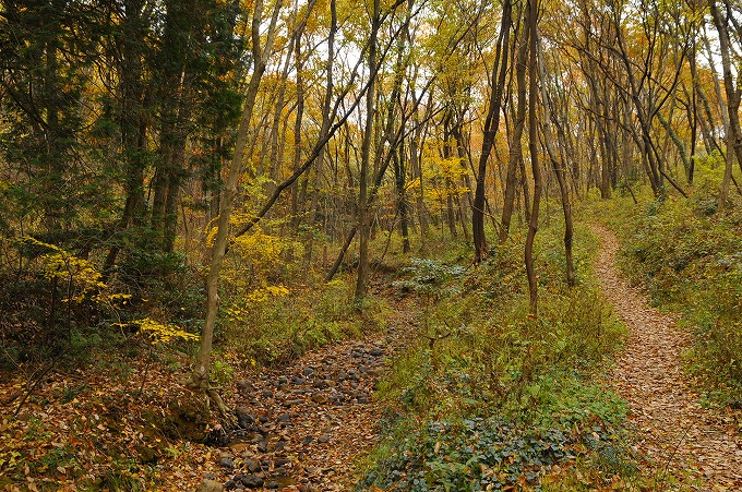 b0255992_1772016.jpg