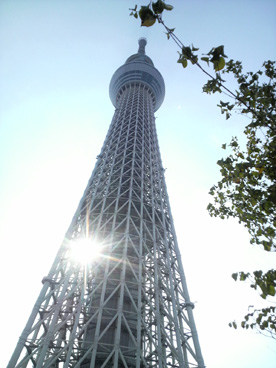 c0267692_16391290.jpg