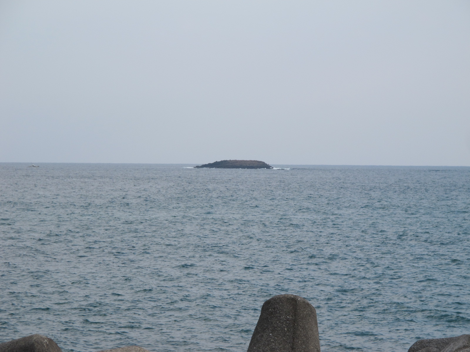 a0166196_1782440.jpg