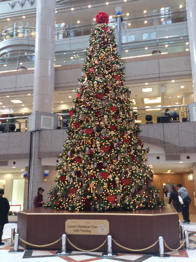 b0160300_23132728.jpg