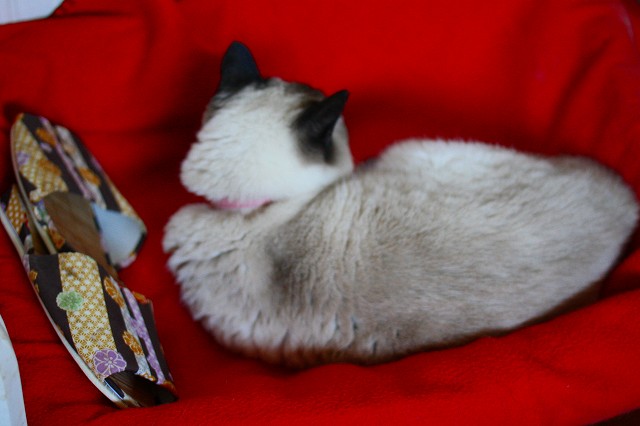 c0187403_1594270.jpg