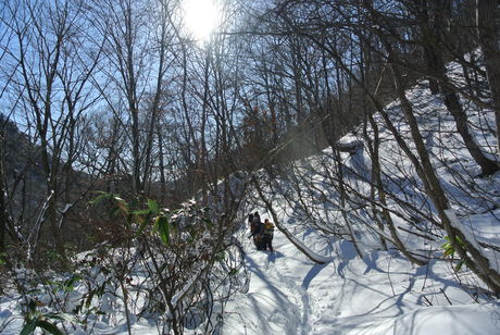 c0242406_974445.jpg