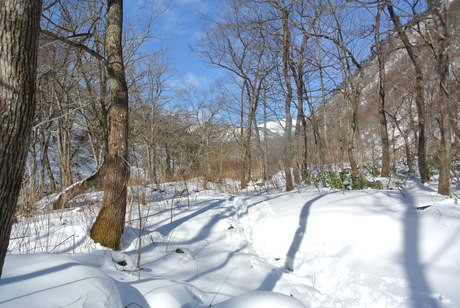 c0242406_981750.jpg