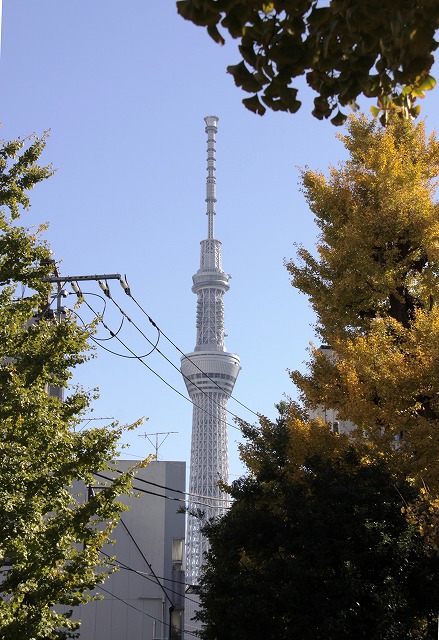 a0293207_2328986.jpg