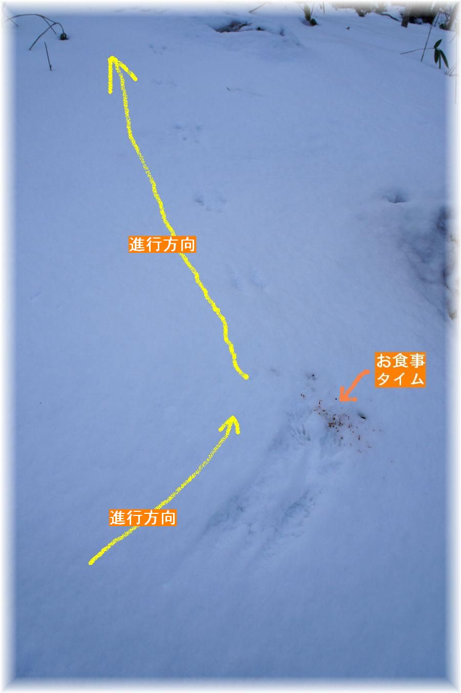 a0248508_1895822.jpg