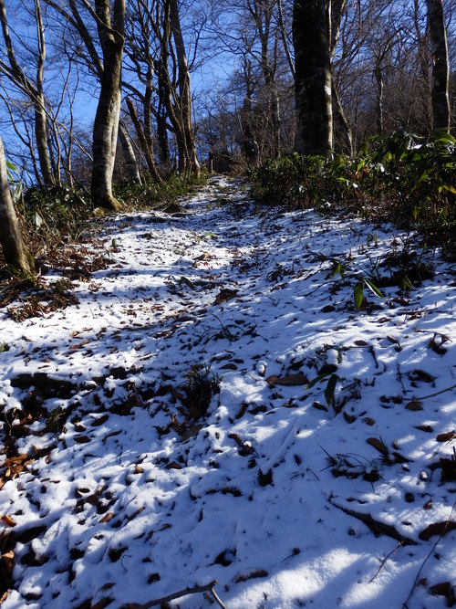 臥龍山　　無残なり！_f0219710_7194376.jpg