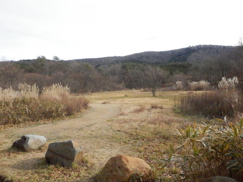 f0219710_7412425.jpg