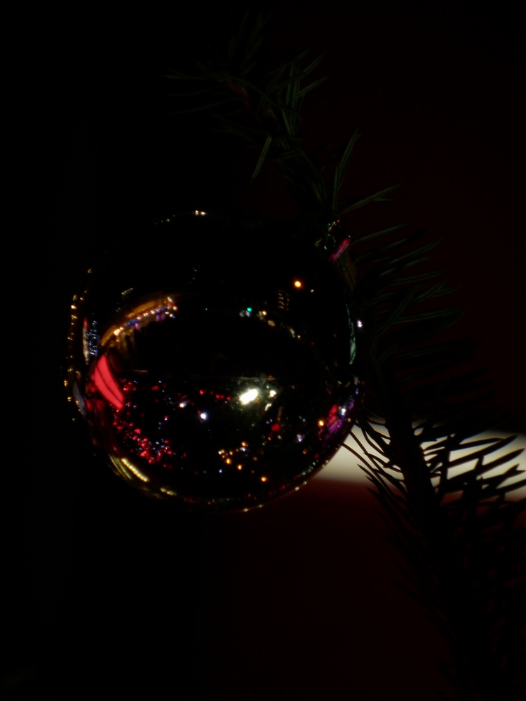 c0062511_02272.jpg