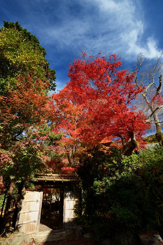 2012京都の紅葉・内緒のお寺_f0032011_19411037.jpg