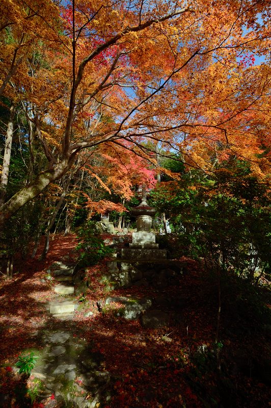 2012京都の紅葉・内緒のお寺_f0032011_19413583.jpg