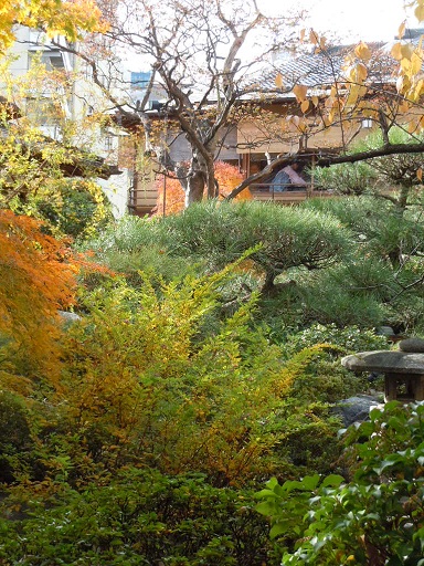 c0101913_14155353.jpg