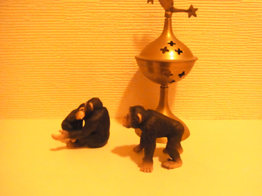 c0226214_1015992.jpg