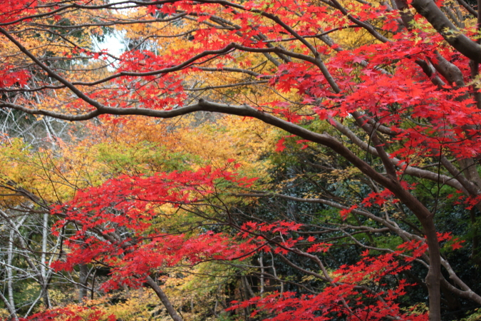 春秋山荘　蕎麦高月_d0072318_18404285.jpg