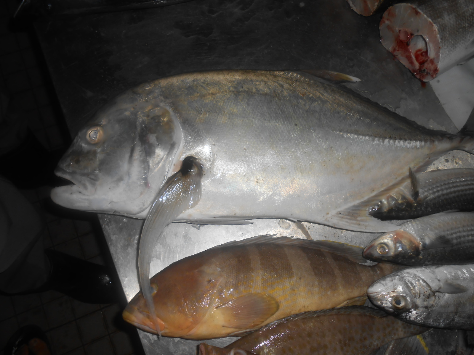今日は 季節はずれのナンヨウキンメ鯛が居ました ベトナム魚市場 魚釣り
