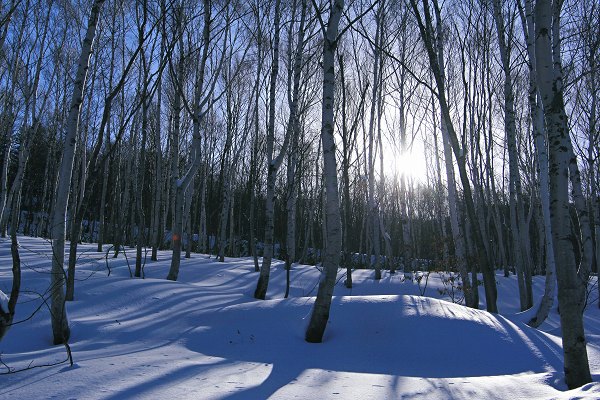 e0242721_2149018.jpg