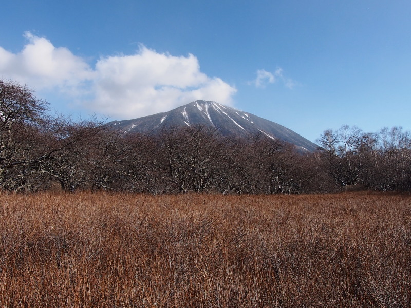 戦場ヶ原にて_c0085622_1952517.jpg