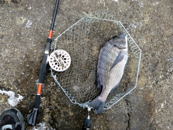 f0031423_21425541.jpg