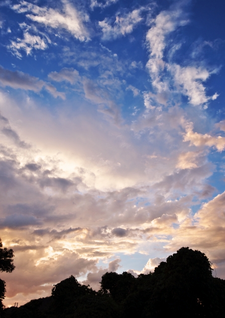 雲、雲、雲だけ、なのだが_a0257124_201932.jpg