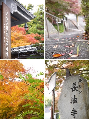 大人の遠足　　～光明寺・長法寺　（京都）～_c0235725_10175834.jpg