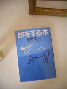 旅をする木_e0127625_21521450.jpg
