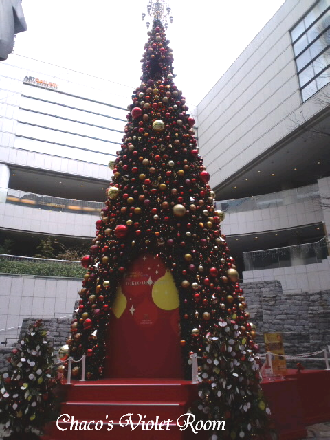 e0245625_058937.png
