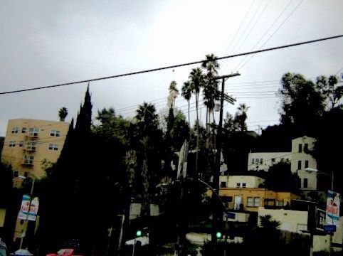 c0078333_1293414.jpg