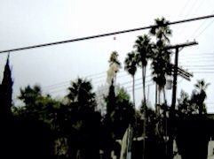c0078333_1293531.jpg