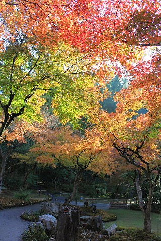 錦秋の京都　　vol.3_c0219535_15265718.jpg