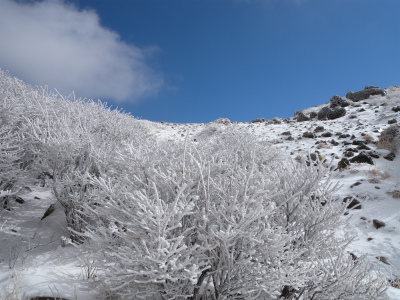 e0272335_8272824.jpg