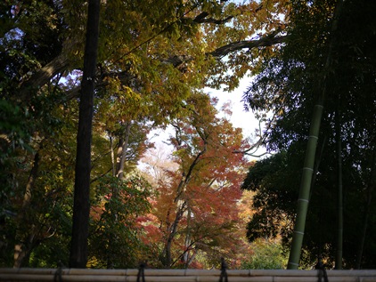 f0232136_924311.jpg