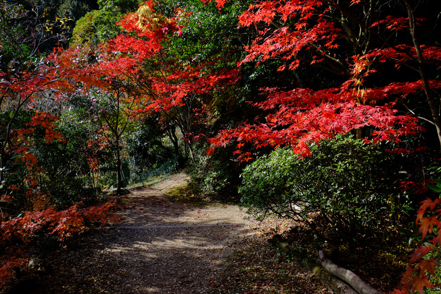 仁比山神社ミニオフ会 （その1）_c0014538_16593257.jpg