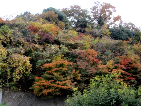 c0097838_23313039.jpg