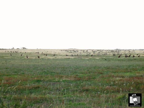 a0150039_9312058.jpg