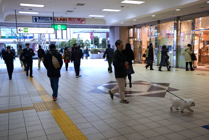 c0035245_3371489.jpg