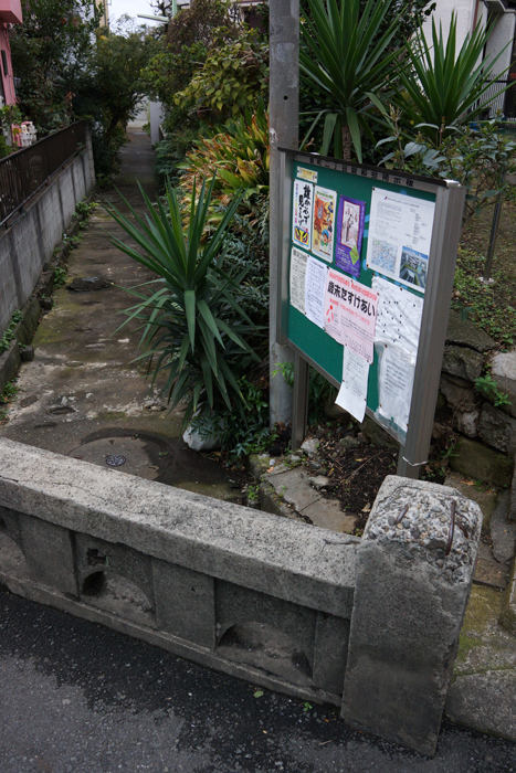c0035245_432765.jpg