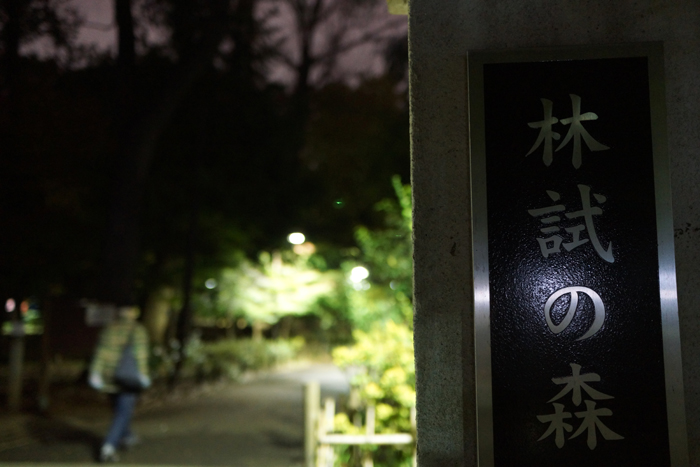 c0035245_5231074.jpg