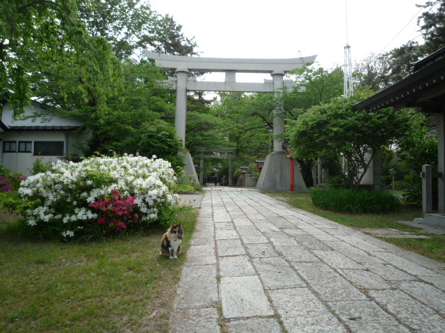 b0238249_2038635.jpg