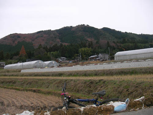 d0144550_2147876.jpg