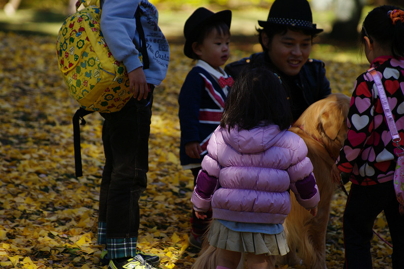 紅葉 2012　～京都御苑～_f0152550_00418.jpg