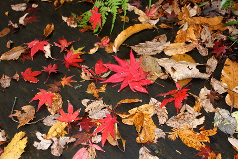 a0248459_1601234.jpg