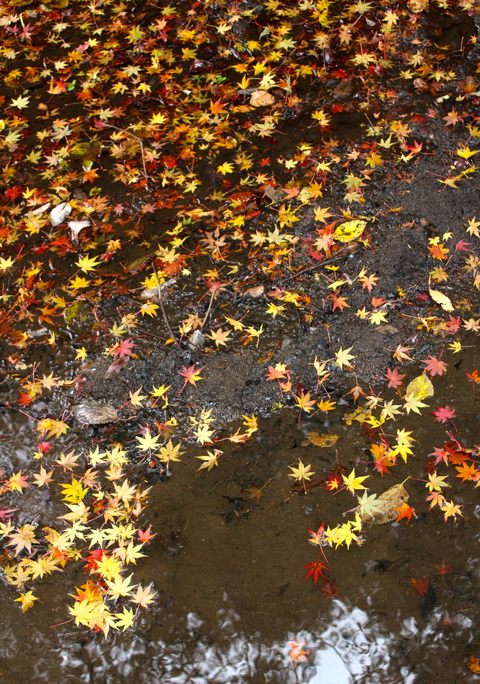 a0248459_1664756.jpg