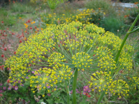 c0108460_17223421.jpg