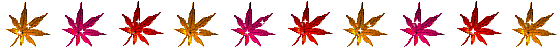 c0119160_8292029.gif