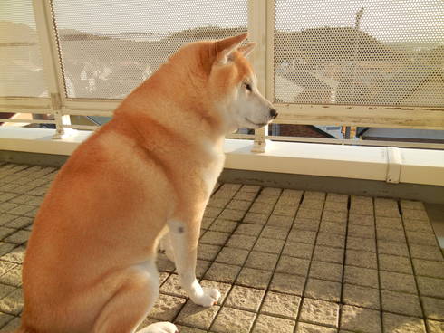 ’12,12,5(水)愛姉ちゃんが~~~!_f0060461_20401699.jpg