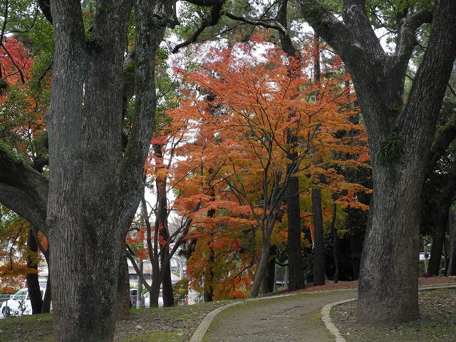 師走の風景・2_e0153963_13311897.jpg